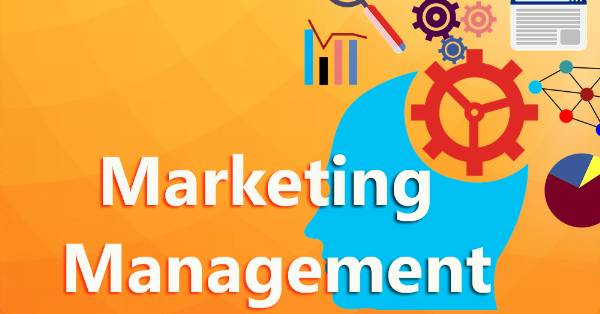 TRƯỞNG PHÒNG MARKETING TRUNG TÂM Y KHOA NHẬT BẢN